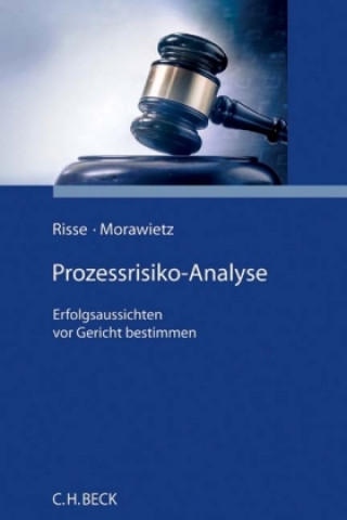 Kniha Prozessrisikoanalyse Jörg Risse