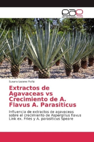 Książka Extractos de Agavaceas vs Crecimiento de A. Flavus A. Parasiticus Susana Lozano Muñiz