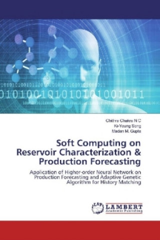 Buch Soft Computing on Reservoir Characterization & Production Forecasting Chithra Chakra N C