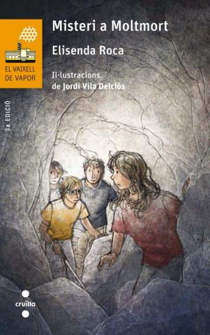 Książka Misteri a Moltmort ELISENDA ROCA