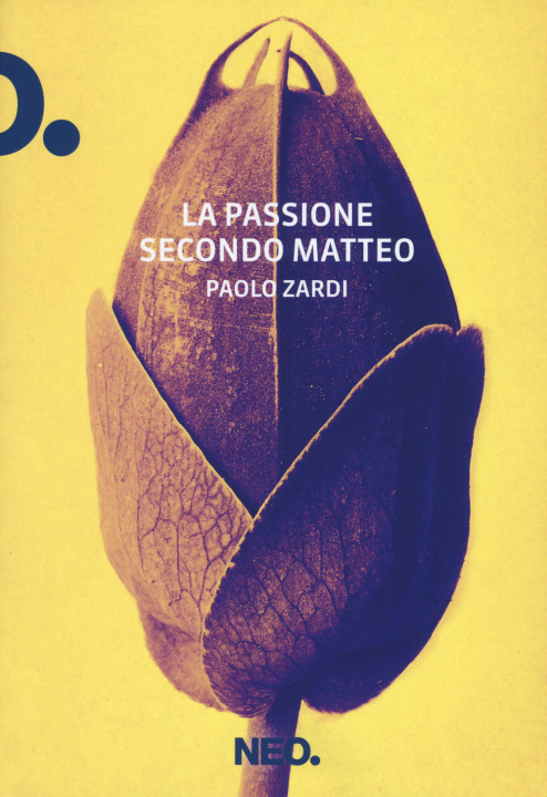 Kniha La passione secondo Matteo Paolo Zardi