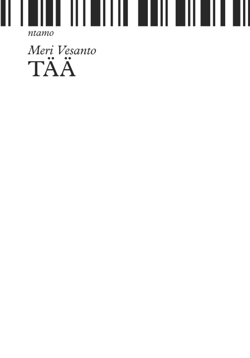 Boek Tää Meri Vesanto