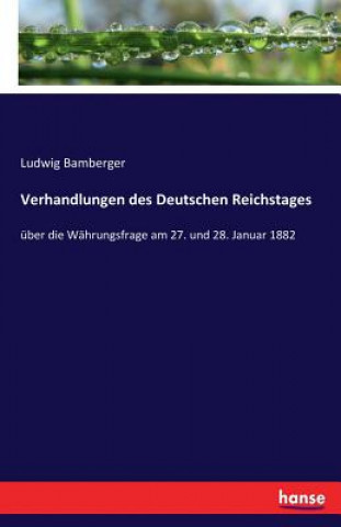 Kniha Verhandlungen des Deutschen Reichstages Ludwig Bamberger