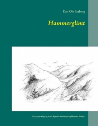 Kniha Hammerglimt Dan Ole Faaborg