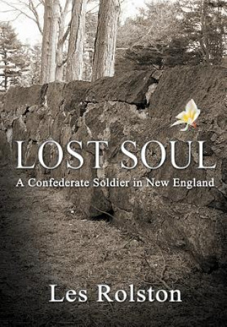 Книга Lost Soul Les Rolston