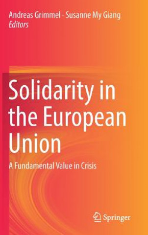 Kniha Solidarity in the European Union Andreas Grimmel