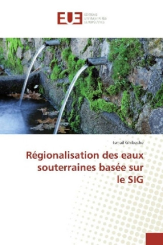 Książka Régionalisation des eaux souterraines basée sur le SIG Ismail Ghibeche