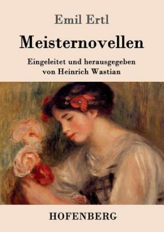 Knjiga Meisternovellen Emil Ertl