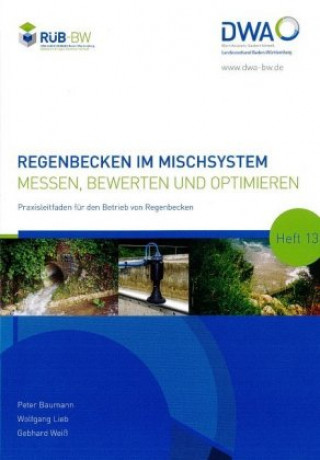 Książka Regenbecken im Mischsystem Peter Baumann