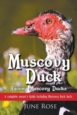 Carte Muscovy Duck June Rose