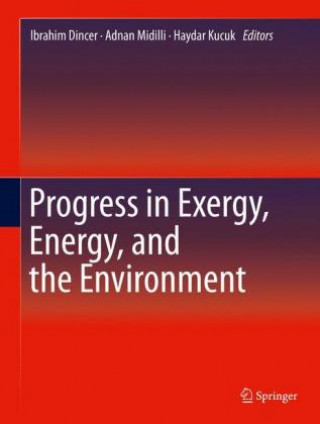 Könyv Progress in Exergy, Energy, and the Environment Ibrahim Dincer