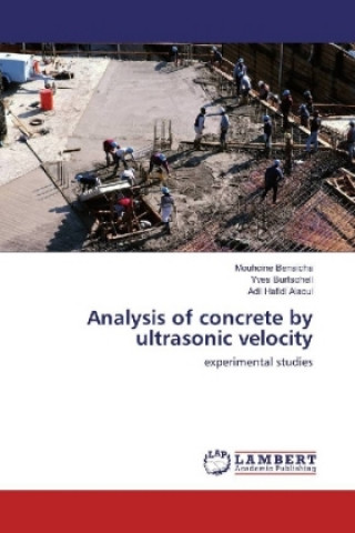 Kniha Analysis of concrete by ultrasonic velocity Mouhcine Benaicha