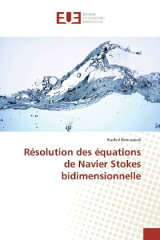 Kniha Résolution des équations de Navier Stokes bidimensionnelle Rachid Benrazouk