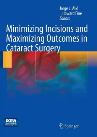 Kniha Minimizing Incisions and Maximizing Outcomes in Cataract Surgery Jorge L. Alió Y Sanz