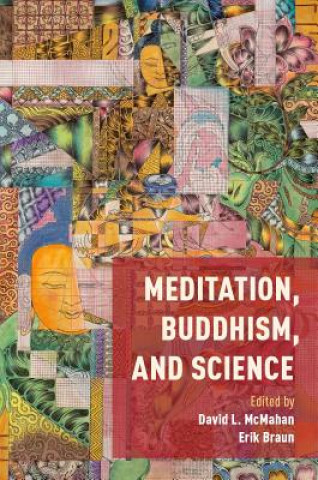 Buch Meditation, Buddhism, and Science David McMahan