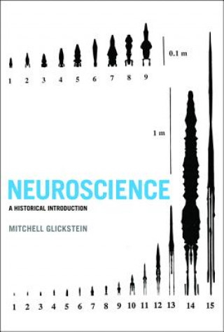 Книга Neuroscience Mitchell Glickstein