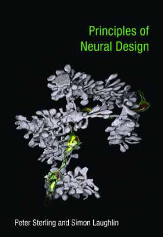 Kniha Principles of Neural Design Peter Sterling