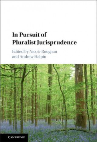 Kniha In Pursuit of Pluralist Jurisprudence Nicole Roughan