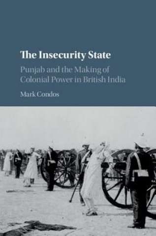 Libro Insecurity State Mark Condos