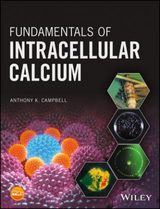 Książka Fundamentals of Intracellular Calcium Anthony K. Campbell