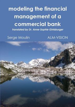 Kniha Modeling the Financial Management of a Commercial Bank Serge Moulin