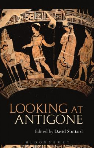 Kniha Looking at Antigone STUTTARD DAVID