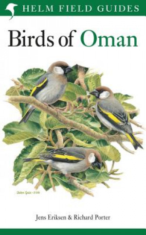 Książka Birds of Oman Jens Eriksen