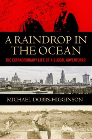Carte Raindrop in the Ocean Michael Dobbs-Higginson