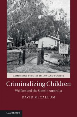 Βιβλίο Criminalizing Children David McCallum