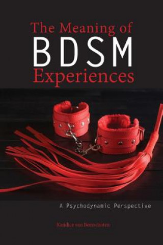 Kniha Meaning of Bdsm Experiences KAN VAN BEERSCHOTEN