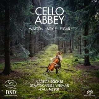 Audio Cello Abbey-Werke für Cello und Orchester Nadege/Meyer Rochat