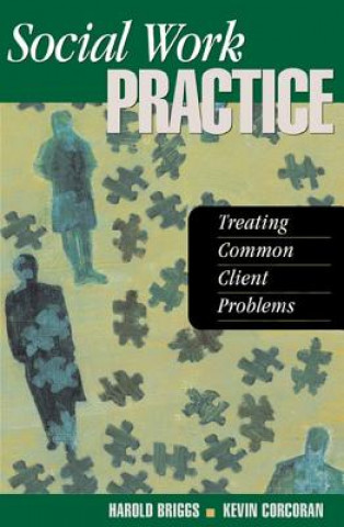 Boek Social Work Practice Harold E. Briggs