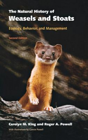Kniha The Natural History of Weasels and Stoats: Ecology, Behavior, and Management Carolyn M. King