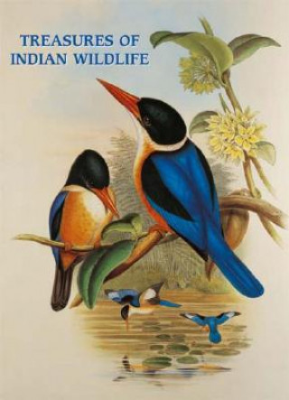 Carte Treasures of Indian Wildlife Ashok Kothari