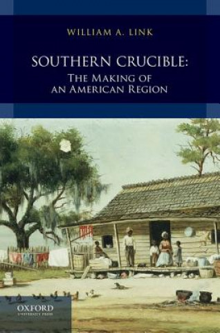 Buch Southern Crucible: The Making of an American Region, Combined Volume William Link