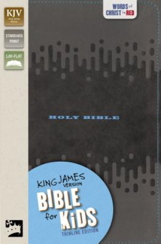Könyv KJV, Bible for Kids, Leathersoft, Charcoal Zondervan