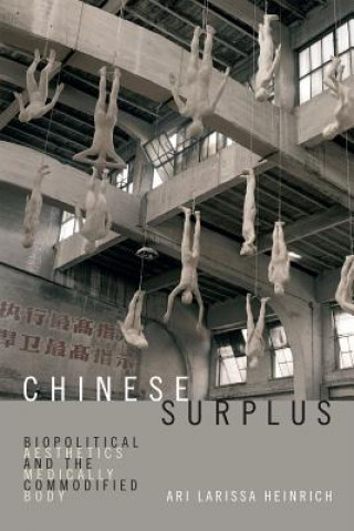 Kniha Chinese Surplus Ari Larissa Heinrich