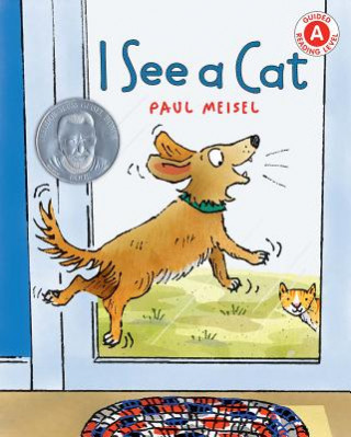 Kniha I See a Cat Paul Meisel