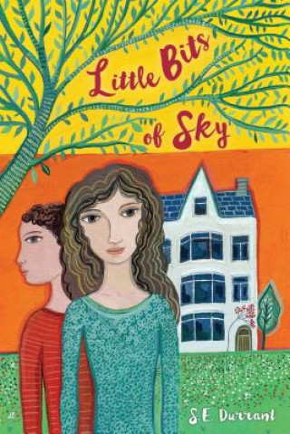 Книга Little Bits of Sky S. E. Durrant