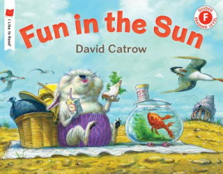 Book Fun in the Sun David Catrow