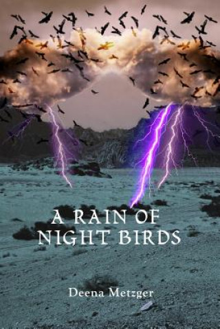 Carte A Rain of Night Birds Deena Metzger