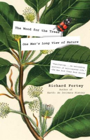 Książka The Wood for the Trees: One Man's Long View of Nature Richard Fortey