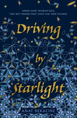 Boek Driving by Starlight Anat Deracine