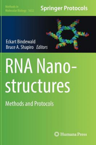 Kniha RNA Nanostructures Eckart Bindewald