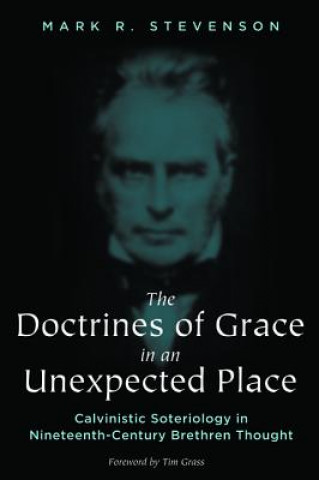 Książka Doctrines of Grace in an Unexpected Place Mark R. Stevenson