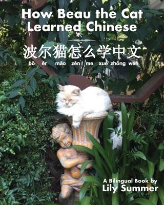 Könyv How Beau the Cat Learned Chinese Lily Summer