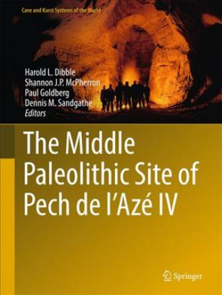 Kniha Middle Paleolithic Site of Pech de l'Aze IV Harold Dibble