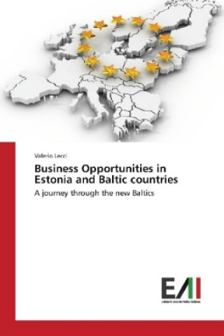 Kniha Business Opportunities in Estonia and Baltic countries Valerio Lecci