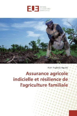 Kniha Assurance agricole indicielle et résilience de l'agriculture familiale Alain Togbédji Aguida