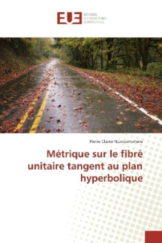 Boek Métrique sur le fibré unitaire tangent au plan hyperbolique Pierre Claver Nsanzamahoro